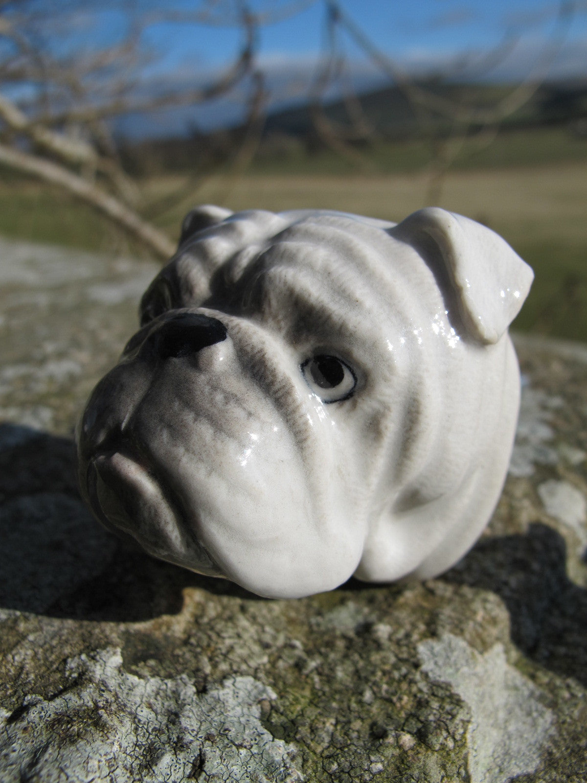 Poignée de porte tête de bouledogue